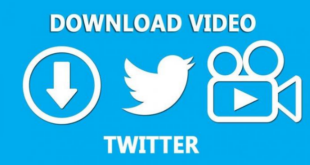 Download Video Twitter